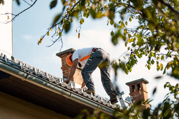 Best Roof Replacement Cost  in Fris, CO