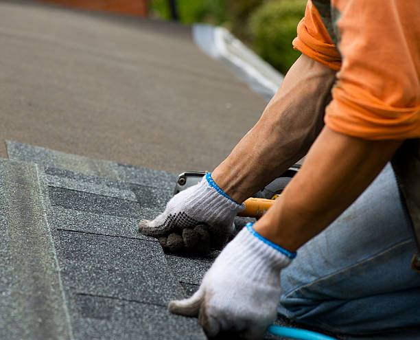 Professional Roofing Contractor in Frisco, CO